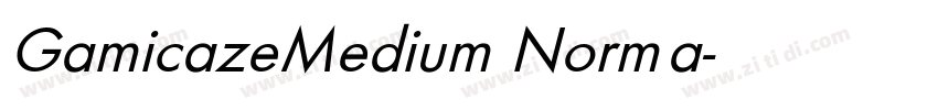 GamicazeMedium Norma字体转换